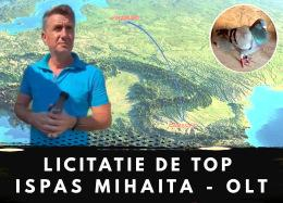 Detalii Licitatie Licitație de Top Ispas Mihăiță Olt