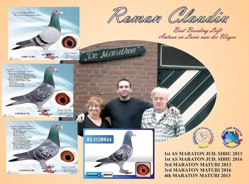 Top Auction – Roman Claudiu – Sibiu