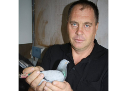 Top Auction - Ciobanu Bogdan - Suceava