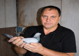 Top Auction - Ciobanu Bogdan - Suceava
