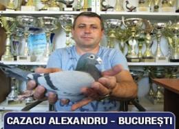 Licitație de Top - Cazacu Alexandru - București