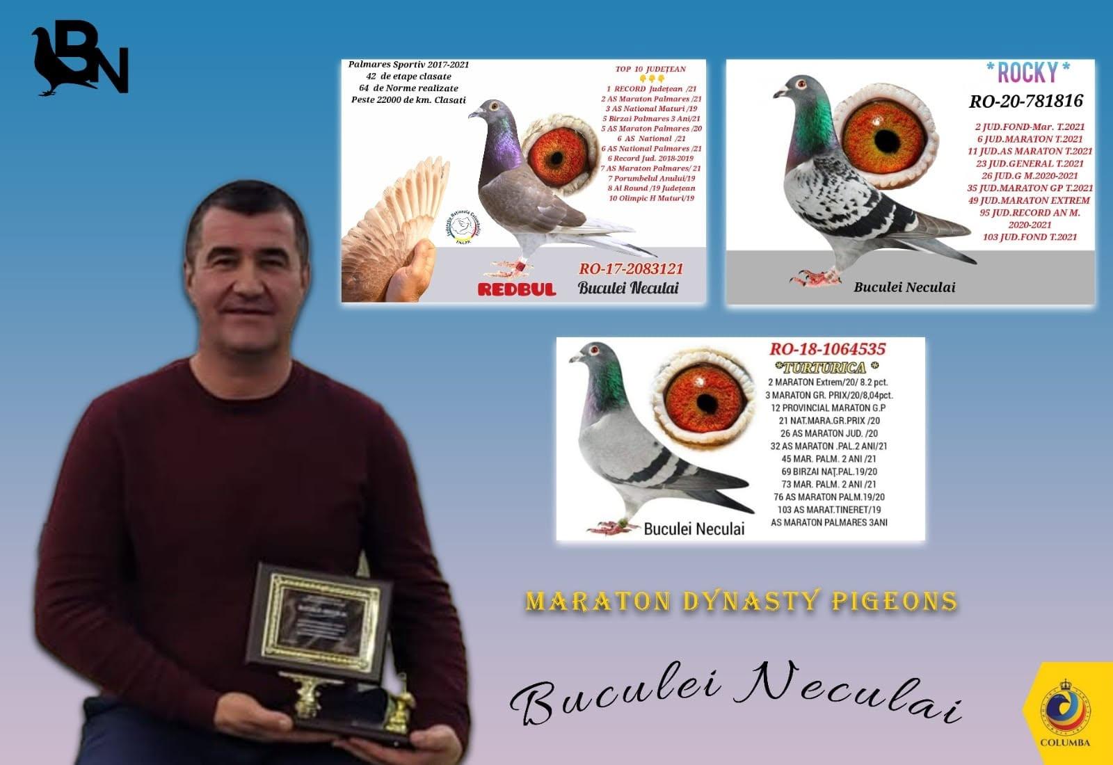 Licitație de Top - Buculei Neculai - Suceava