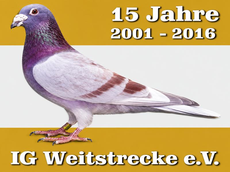 Top Auction - IG Weitstrecke - Germany