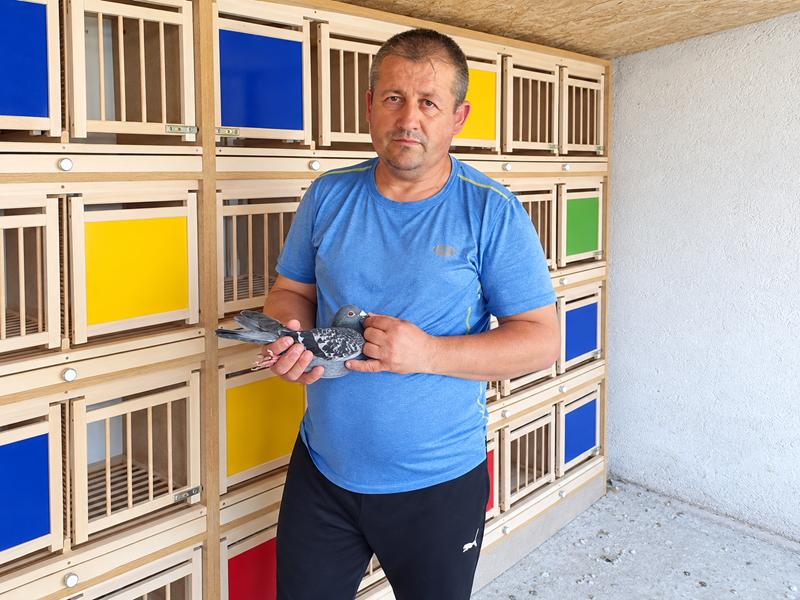Top Auction - Popescu Irinel - Gorj