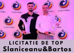 Licitație de Top - Slăniceanu & Bartos - Arad