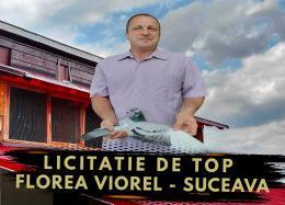 Licitație de Top - Florea Viorel - Suceava