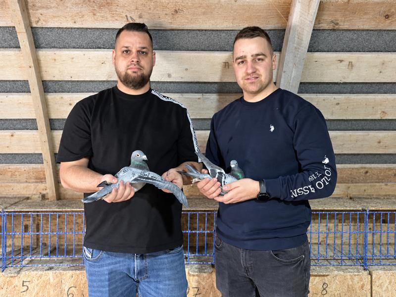 Top Auction - Narcis & Beni Găitan - Suceava