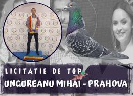 Top Auction - Ungureanu Mihai - Prahova