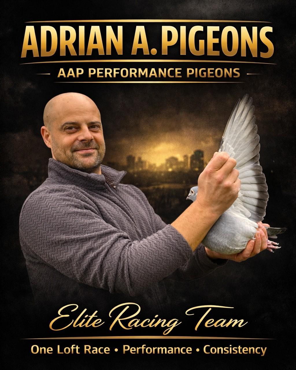 Top Auction – Adăscăliței Adrian – Germany
