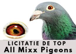 Licitație Mixtă