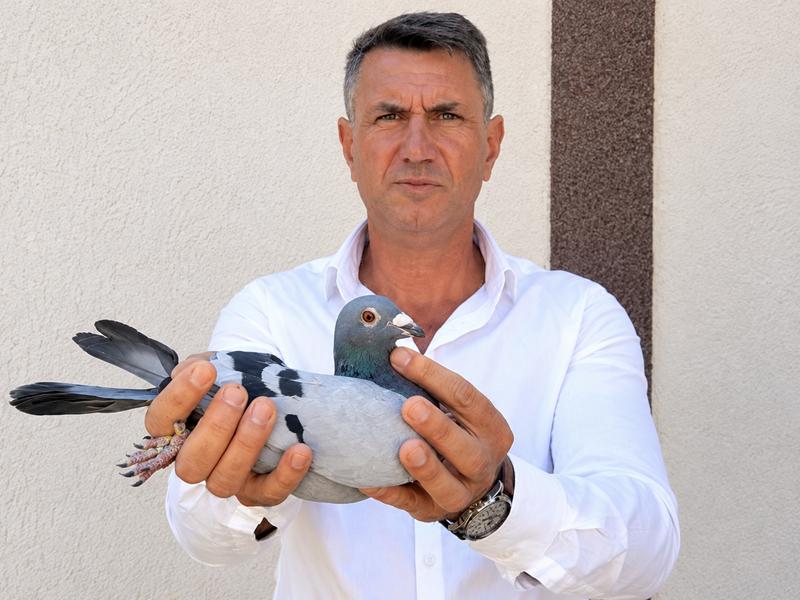 Licitație de Top - Ispas Mihăiță - Olt