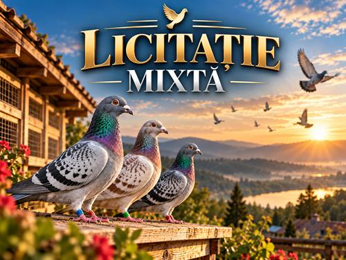 Licitație Mixtă